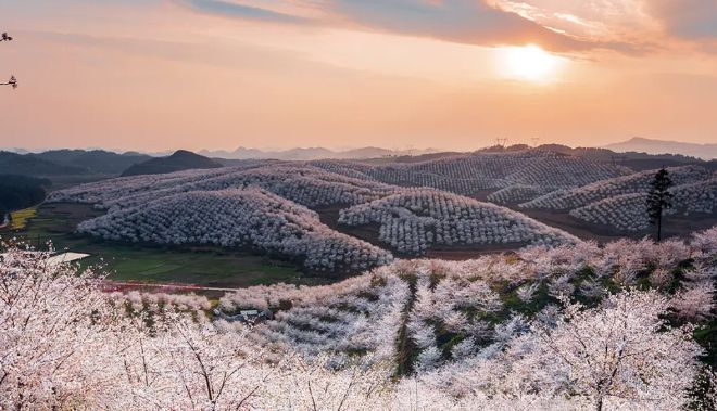 學而時習之丨習近平總書記關于整治群眾身邊不正之...